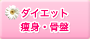 �_�C�G�b�g�@���g�E����