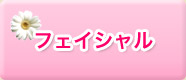 �t�F�C�V����