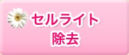 �Z�����C�g����